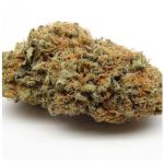 Шишки AK47  (Гидропоника, Бошка) VHQ в Красноперекопске